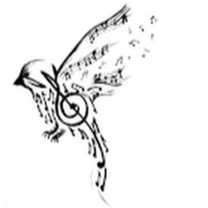 Meet your Posher, Hummingbird